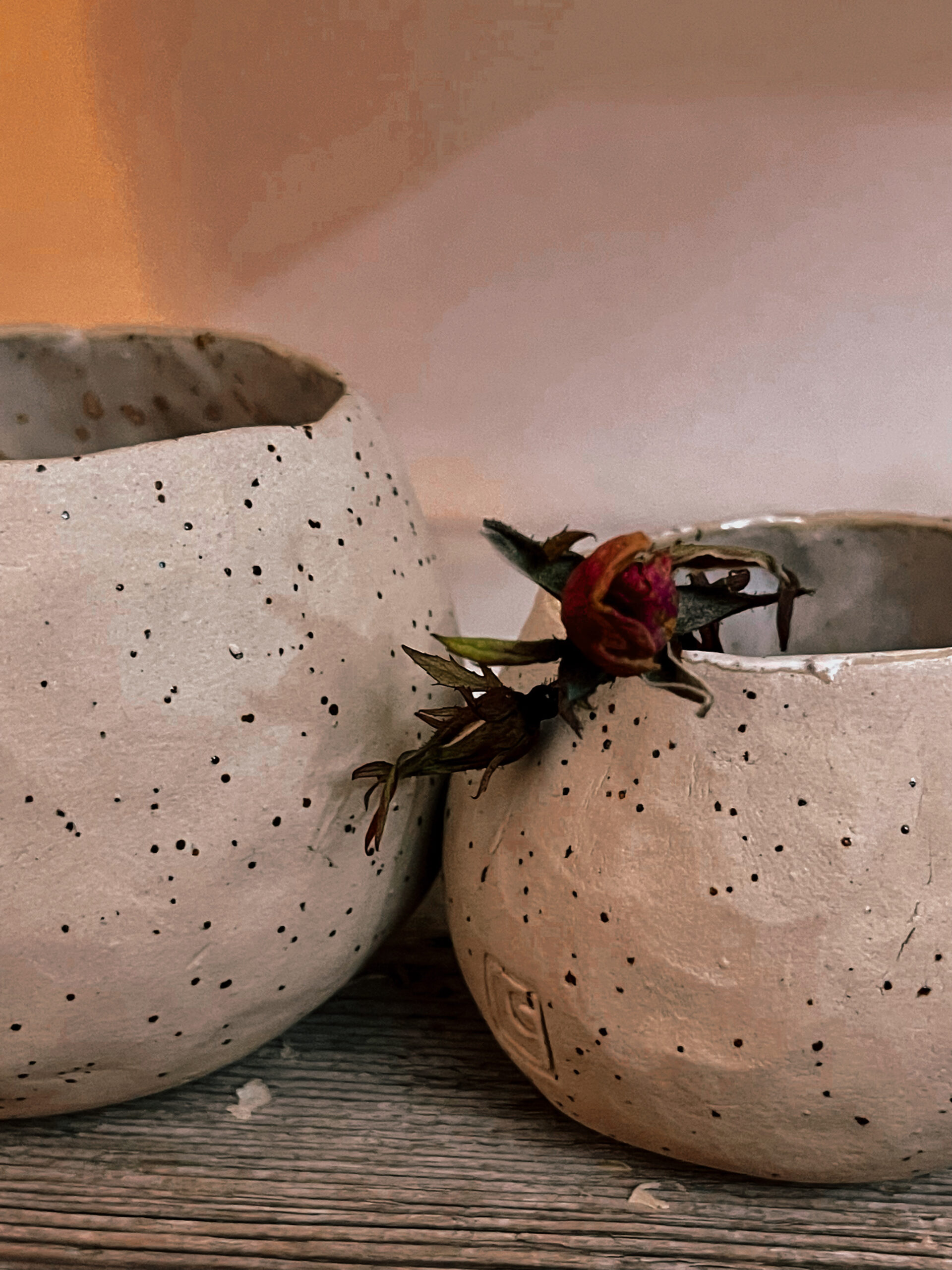 Tazza Coppa Quaglia chiaro rosa melanzana - immagine 4