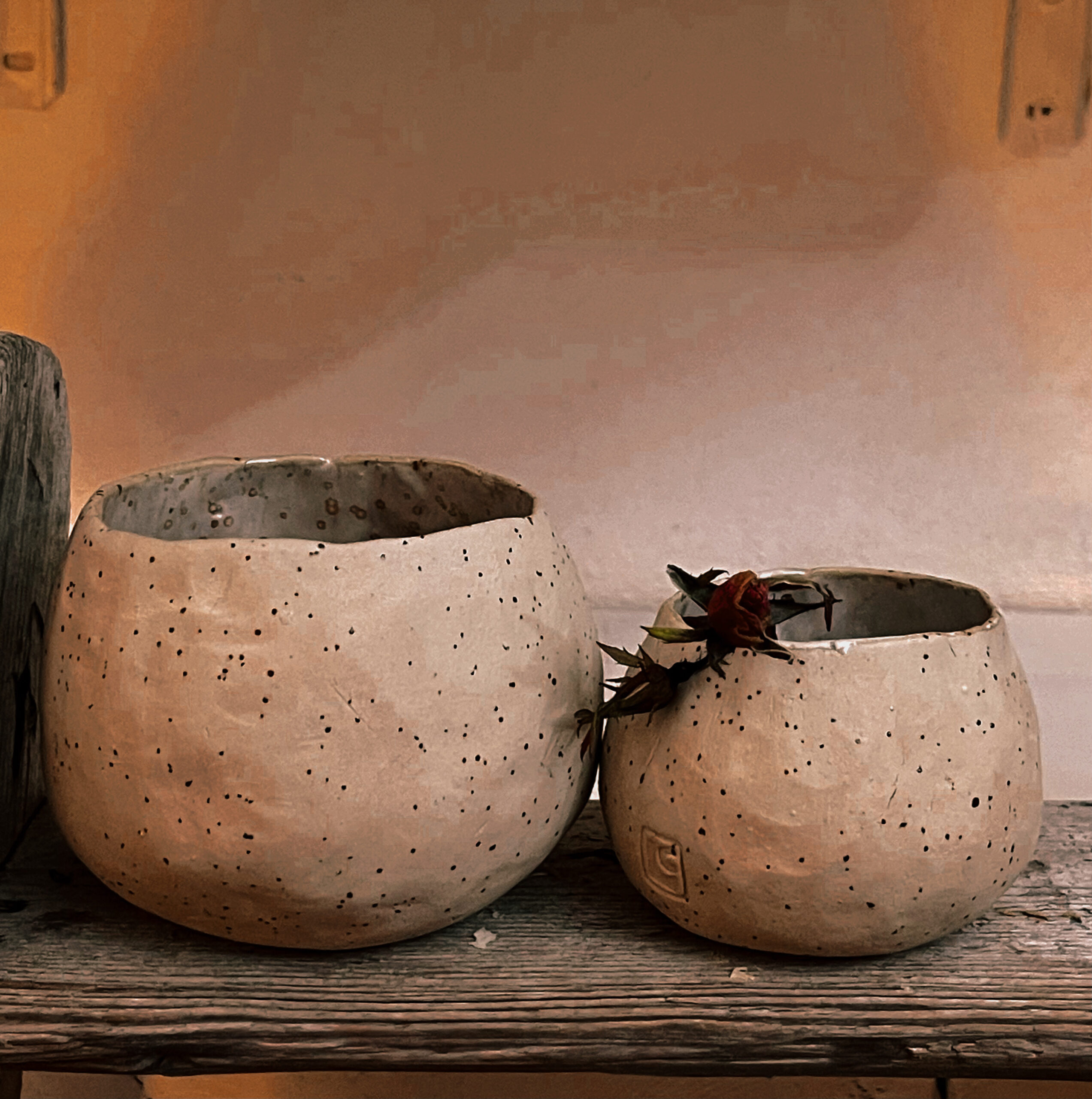 Tazza Coppa Quaglia chiaro rosa melanzana - immagine 2