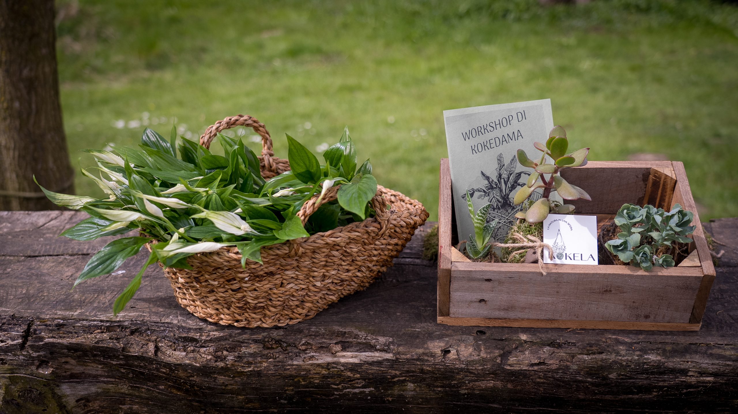 RETREAT - Gesti che nutrono - immagine 5