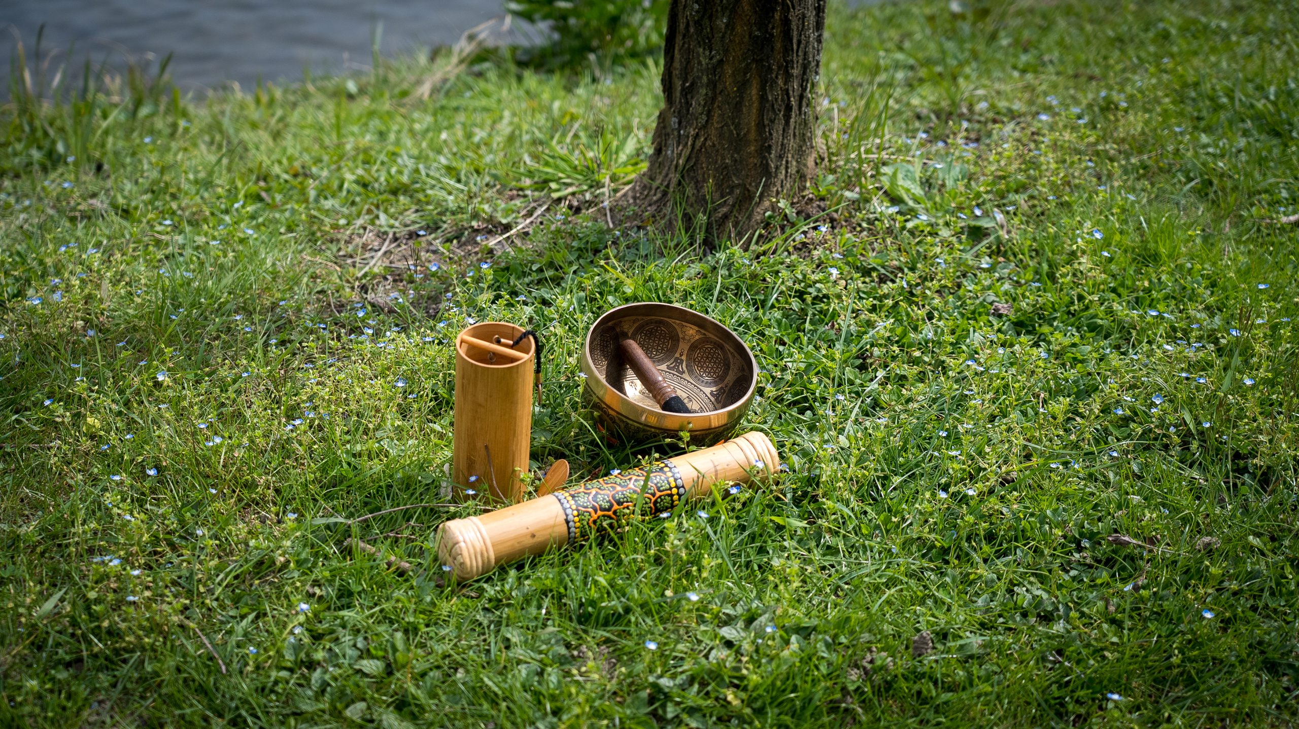 RETREAT - Gesti che nutrono - immagine 4